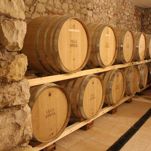 GUIDED TOURS IN THE CELLAR